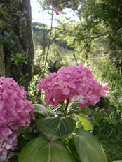 spiritual retreat center